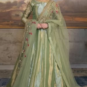 Dusty Green Tissue Embroidered Pakistani Anarkali Suit